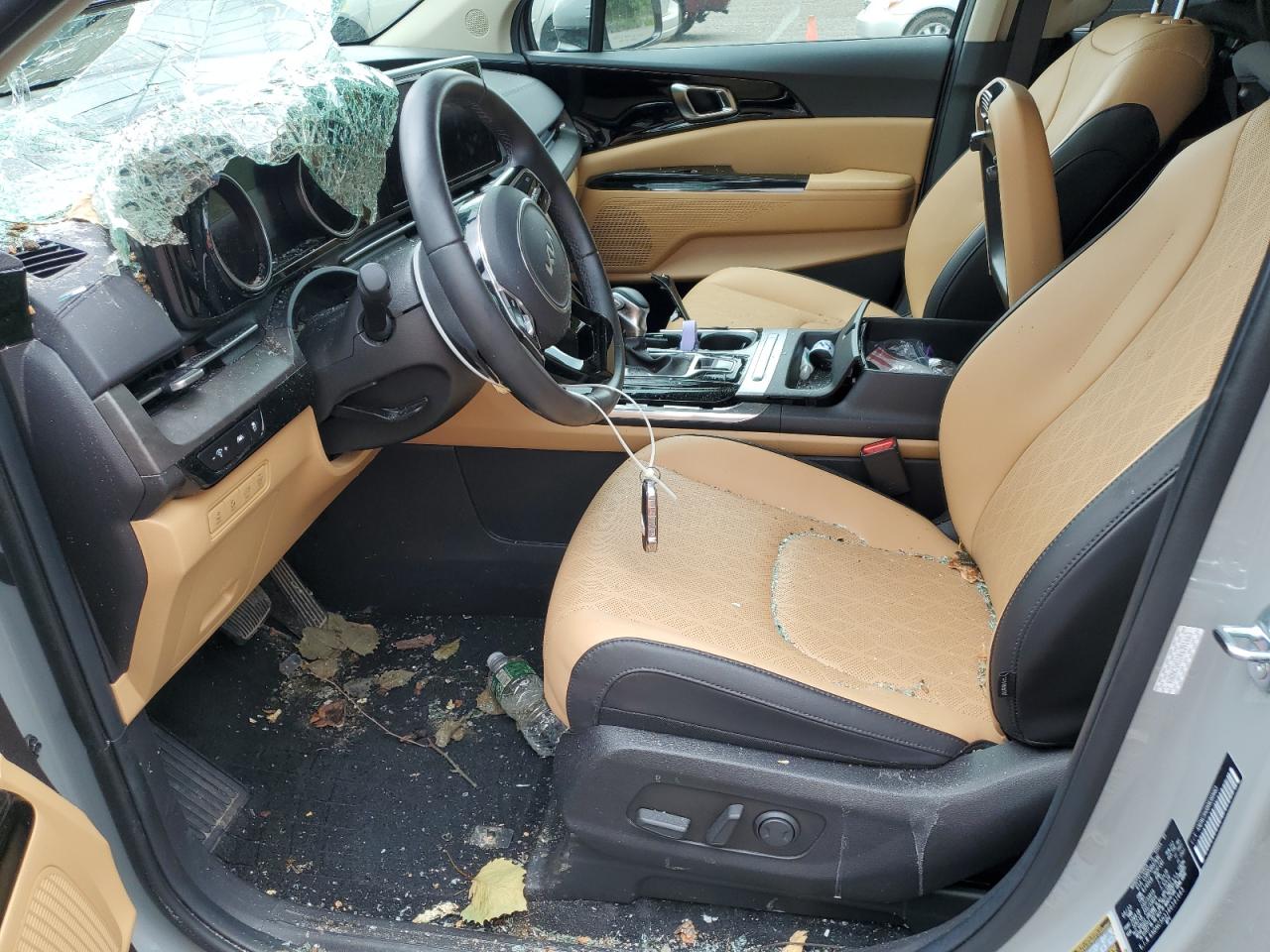 2024 Kia Carnival Ex VIN: KNDNC5H31R6391663 Lot: 64419625