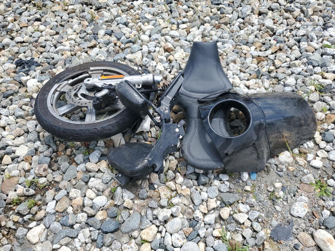 2024 Harley-Davidson Fxst VIN: 1HD1BVJ17RB020040 Lot: 63480835