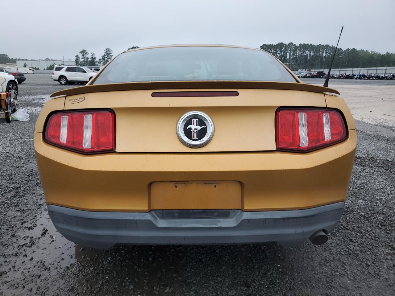 2010 Ford Mustang VIN: 1ZVBP8AN9A5112262 Lot: 63988355