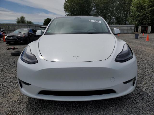  TESLA MODEL Y 2023 Biały