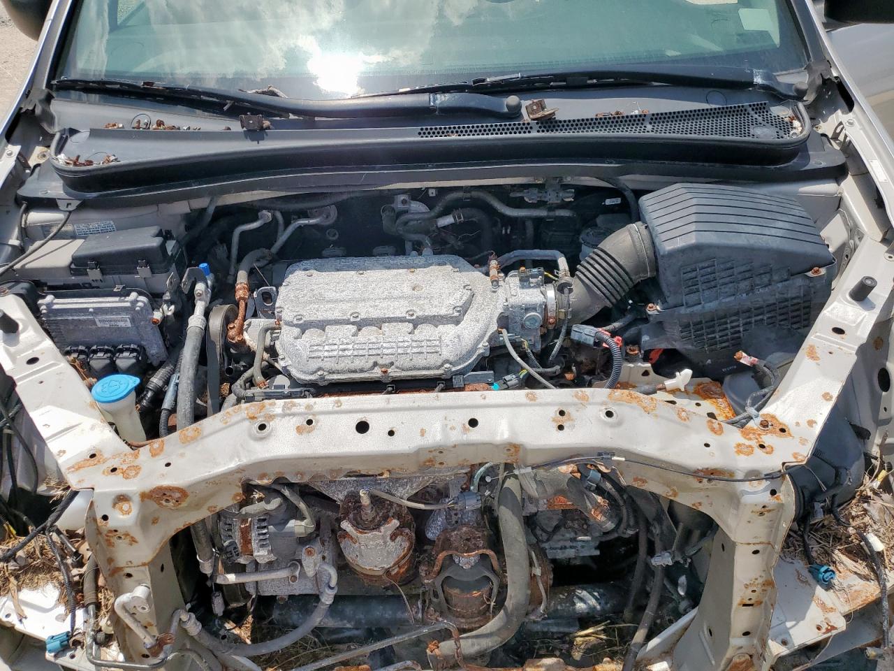 2006 Honda Odyssey Lx VIN: 5FNRL38246B081696 Lot: 66554185