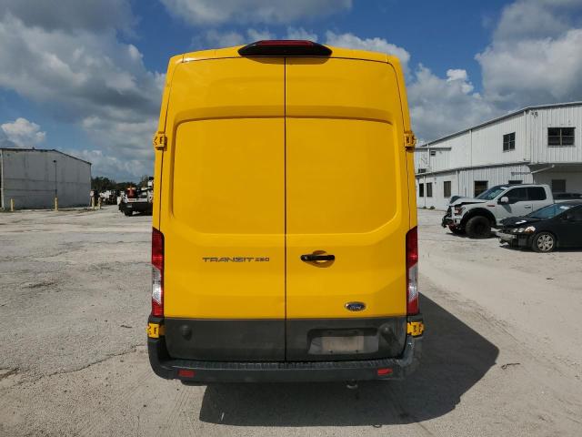  FORD TRANSIT 2023 Żółty