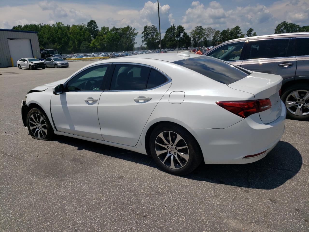 2016 Acura Tlx Tech VIN: 19UUB1F59GA008074 Lot: 66231365