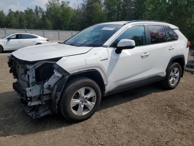 2019 TOYOTA RAV4 LE   à vendre chez Copart ON - COOKSTOWN