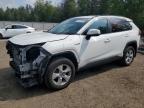 2019 TOYOTA RAV4 LE   à vendre chez Copart ON - COOKSTOWN