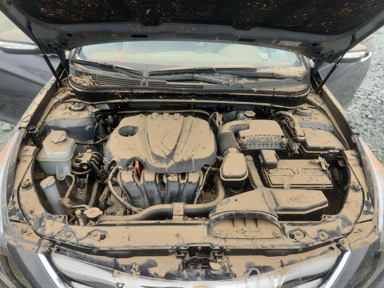 2013 Hyundai Sonata Se VIN: 5NPEC4ACXDH557701 Lot: 64010815