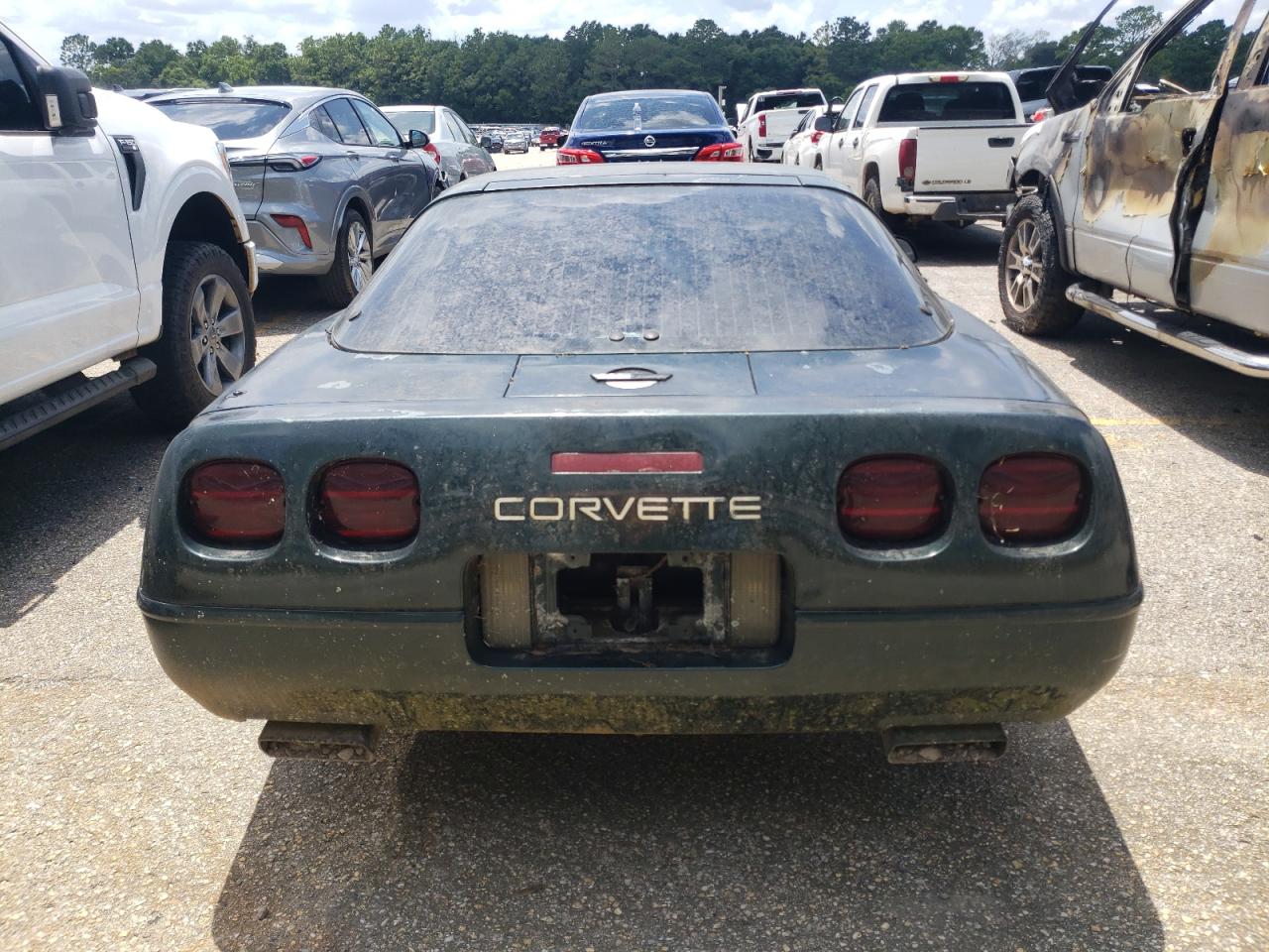 1995 Chevrolet Corvette VIN: 1G1YY22P1S5106960 Lot: 61253305
