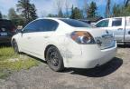 2010 NISSAN ALTIMA BASE   à vendre chez Copart ON - OTTAWA