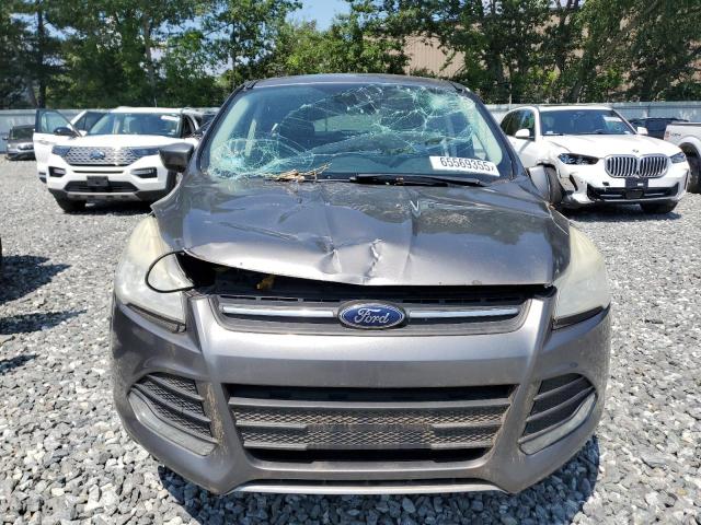  FORD ESCAPE 2014 Gray