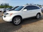 2011 HONDA CR-V EXL   for sale at Copart ON - TORONTO