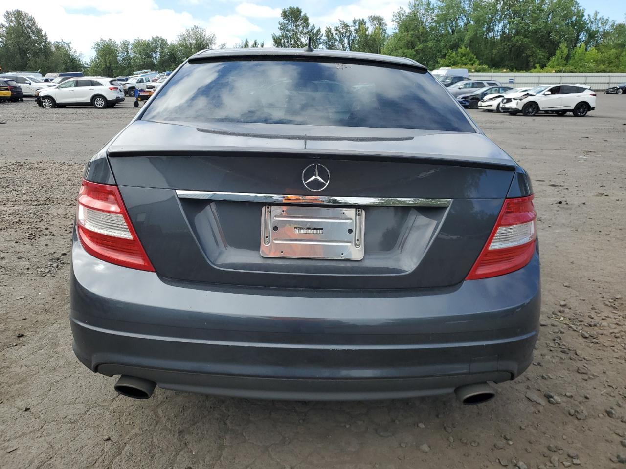 2010 Mercedes-Benz C 300 VIN: WDDGF5EB5AR110842 Lot: 63125875