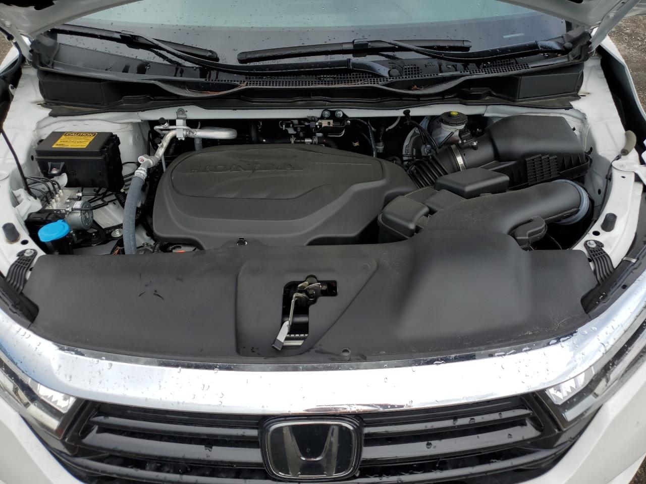 2024 Honda Odyssey Exl VIN: 5FNRL6H64RB045578 Lot: 64486825
