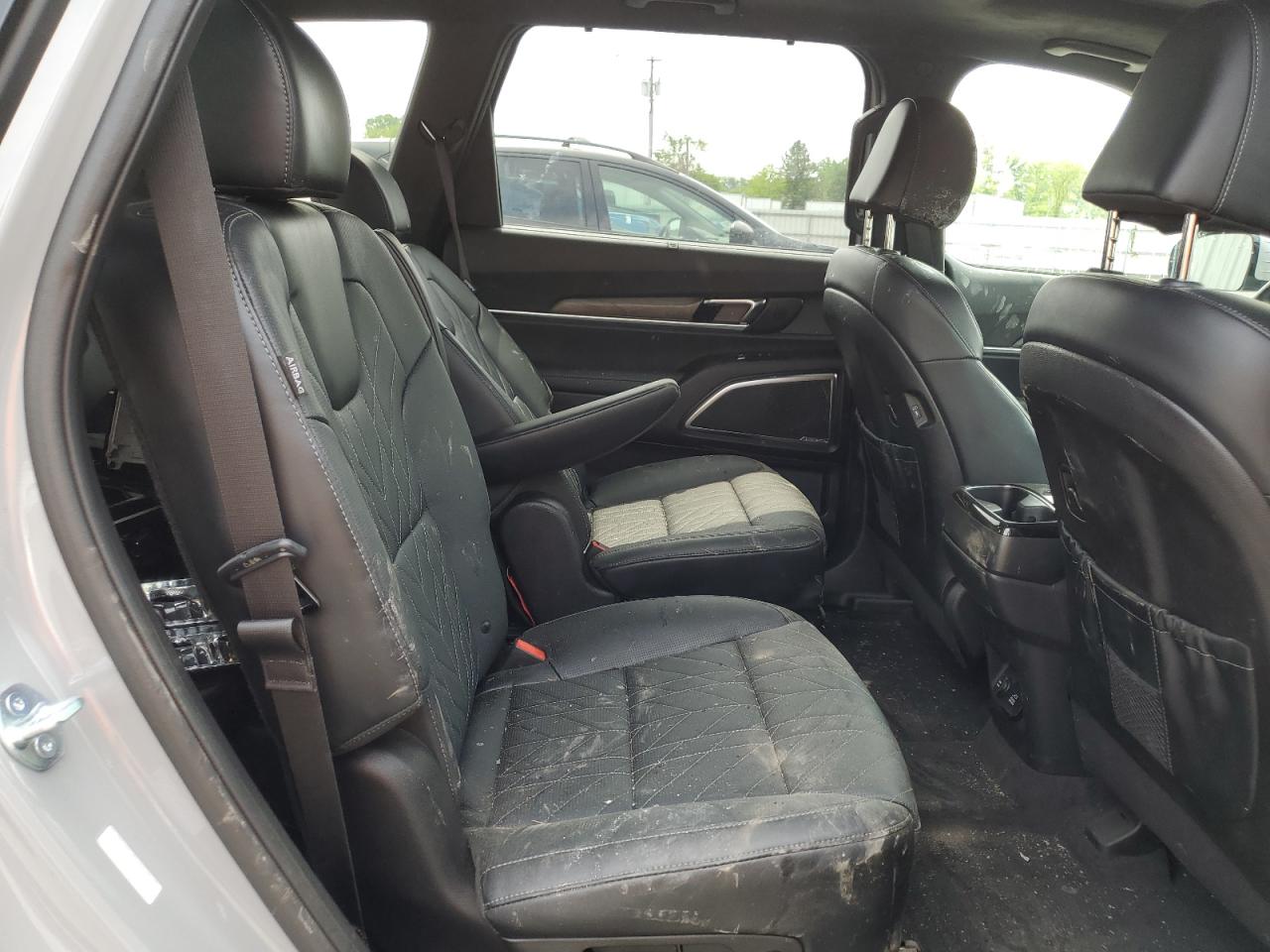 2024 Kia Telluride Sx VIN: 5XYP5DGC9RG449952 Lot: 64617155