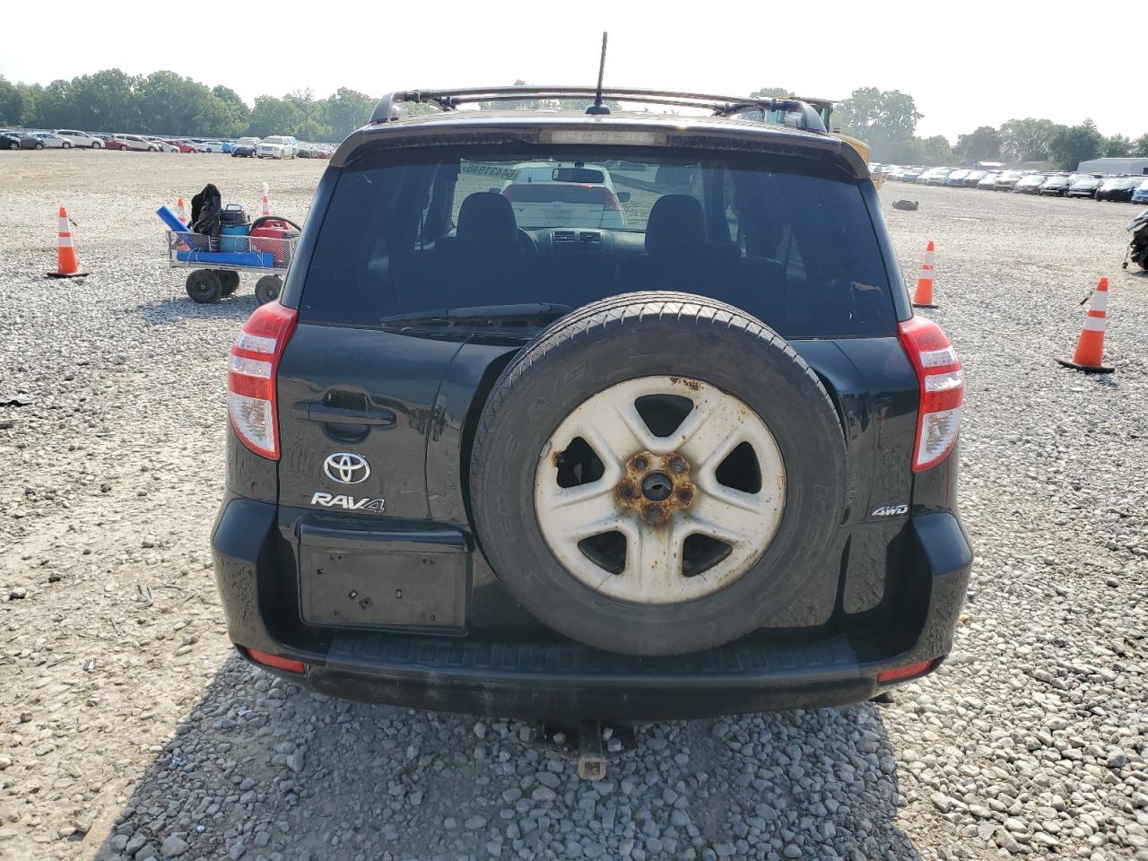 2011 Toyota Rav4 VIN: 2T3BF4DV8BW120437 Lot: 64431945