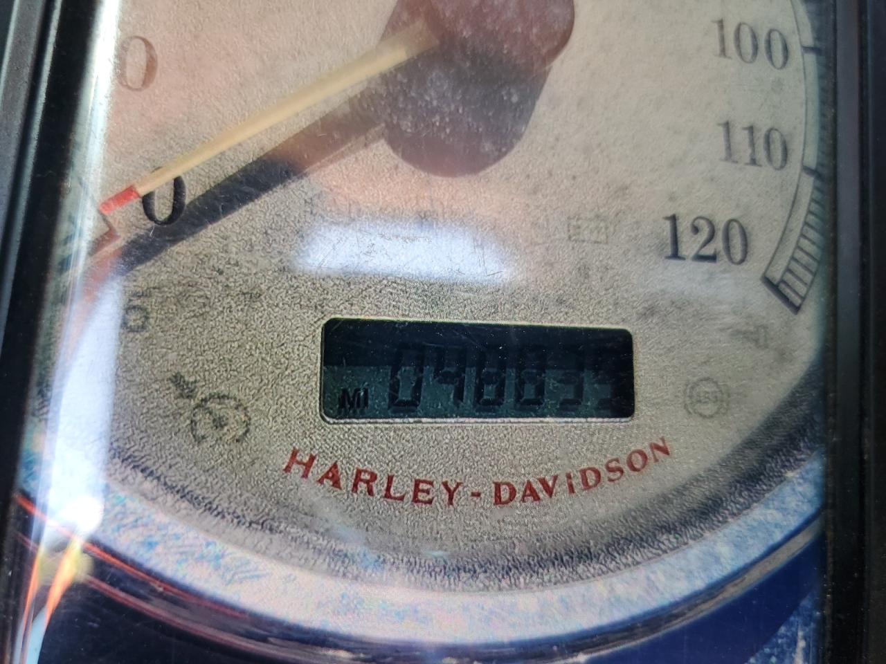 2008 Harley-Davidson Fxdf VIN: 1HD1GY4498K317463 Lot: 64506915
