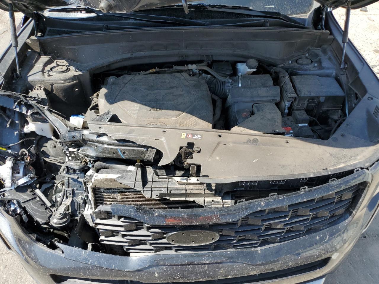 2021 Kia Telluride Ex VIN: 5XYP3DHC4MG119763 Lot: 65447105