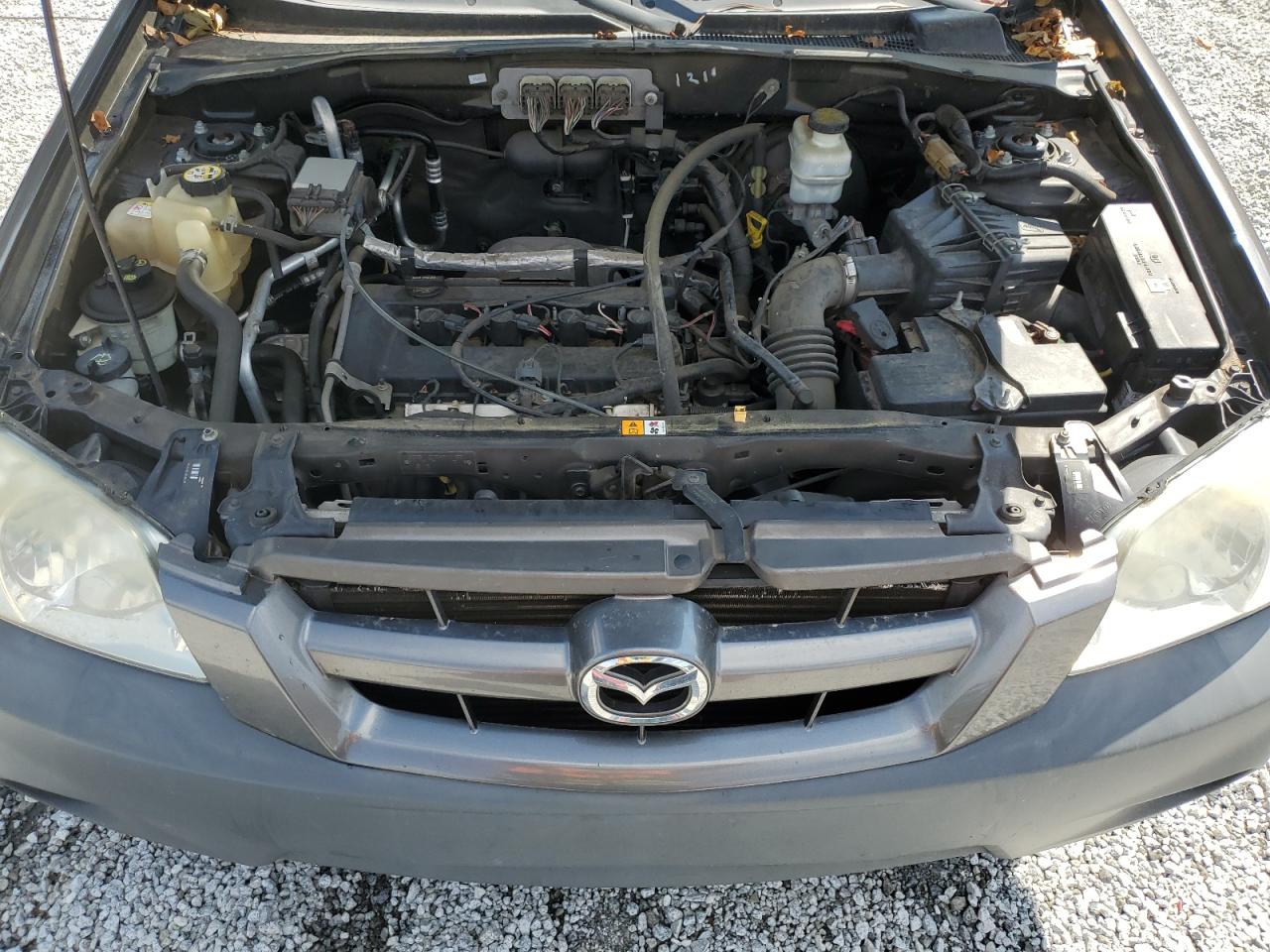 2006 Mazda Tribute I VIN: 4F2YZ02Z36KM17419 Lot: 64282285