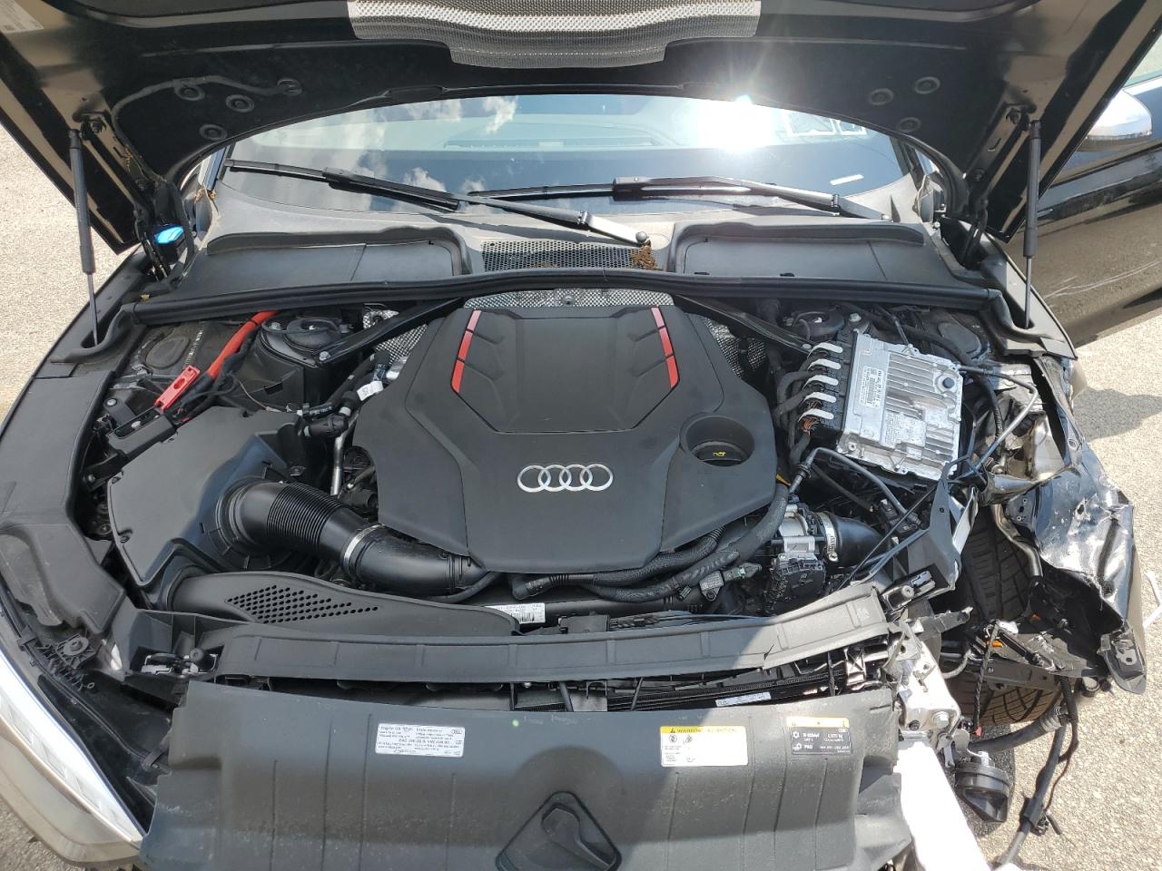 2024 Audi S5 Premium Plus VIN: WAUW4GF53RN003241 Lot: 63316125