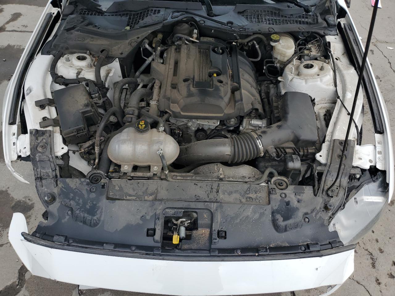2020 Ford Mustang VIN: 1FA6P8TH9L5154208 Lot: 65248445