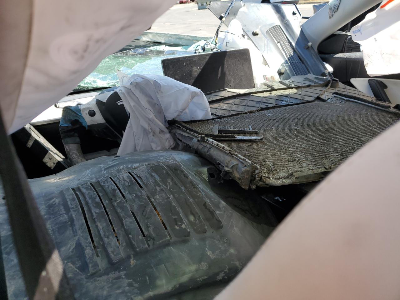 2020 Tesla Model Y VIN: 5YJYGDEE5LF055513 Lot: 63348965