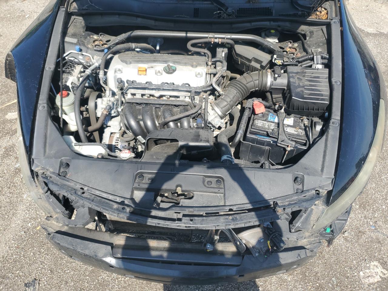 2010 Honda Accord Exl VIN: 1HGCS1B82AA010946 Lot: 64626855