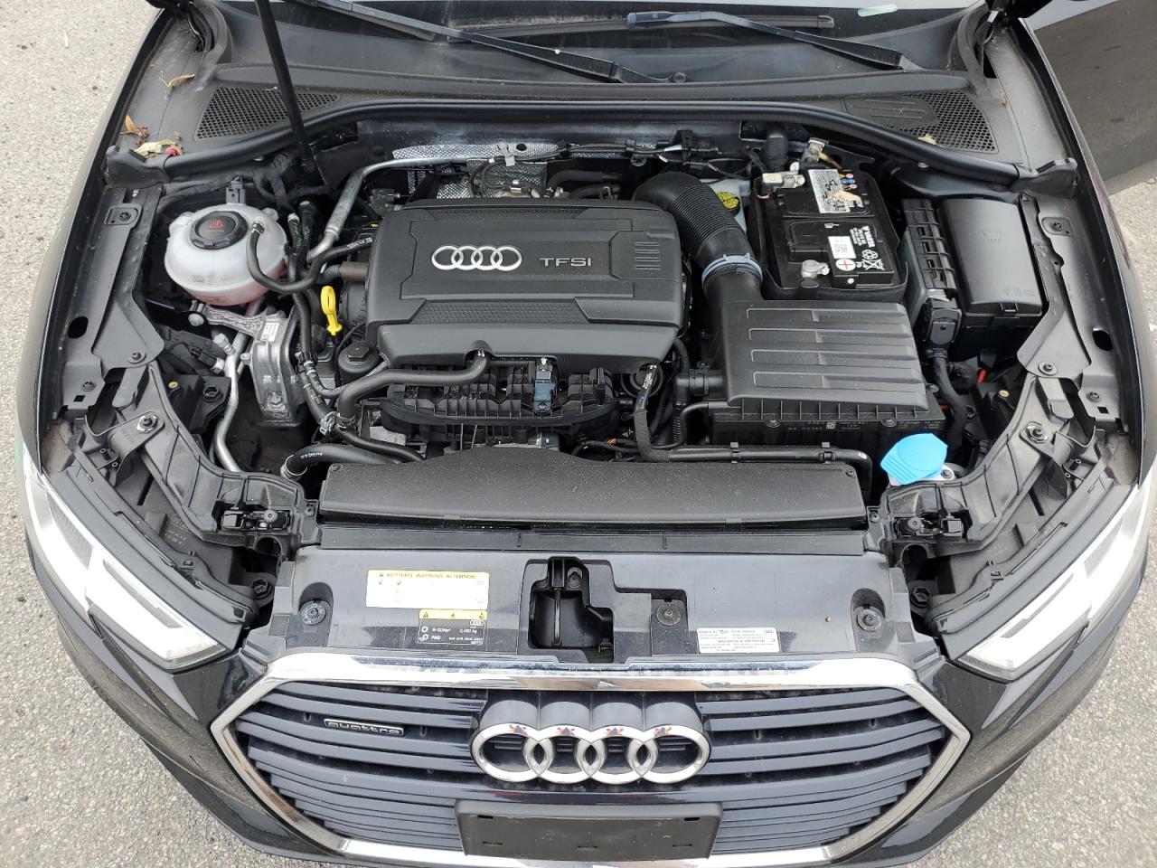 2019 Audi A3 Premium VIN: WAUBEGFF3K1017528 Lot: 64665035