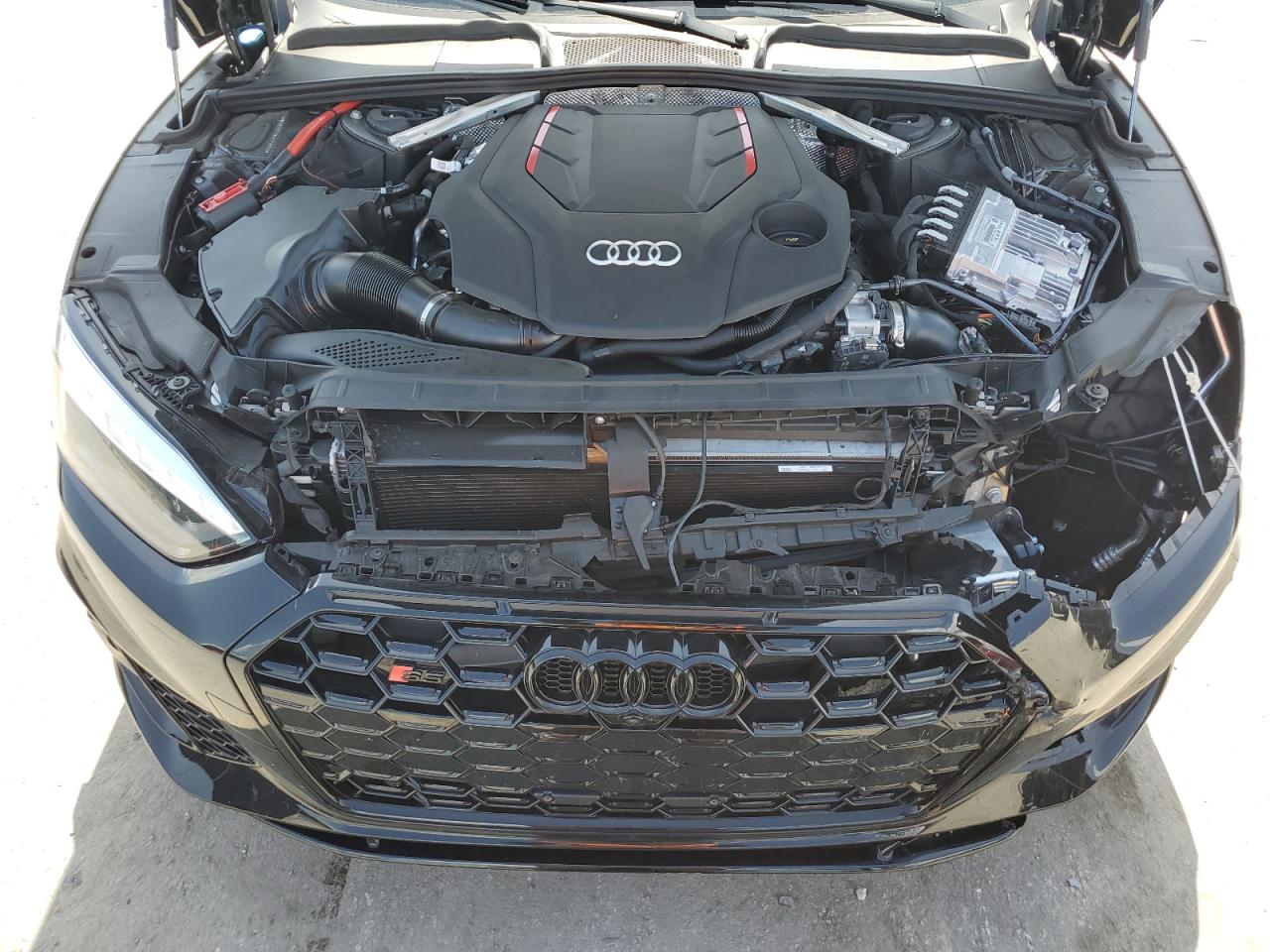 2024 Audi S5 Premium Plus VIN: WAUC4CF5XRA119054 Lot: 63366815