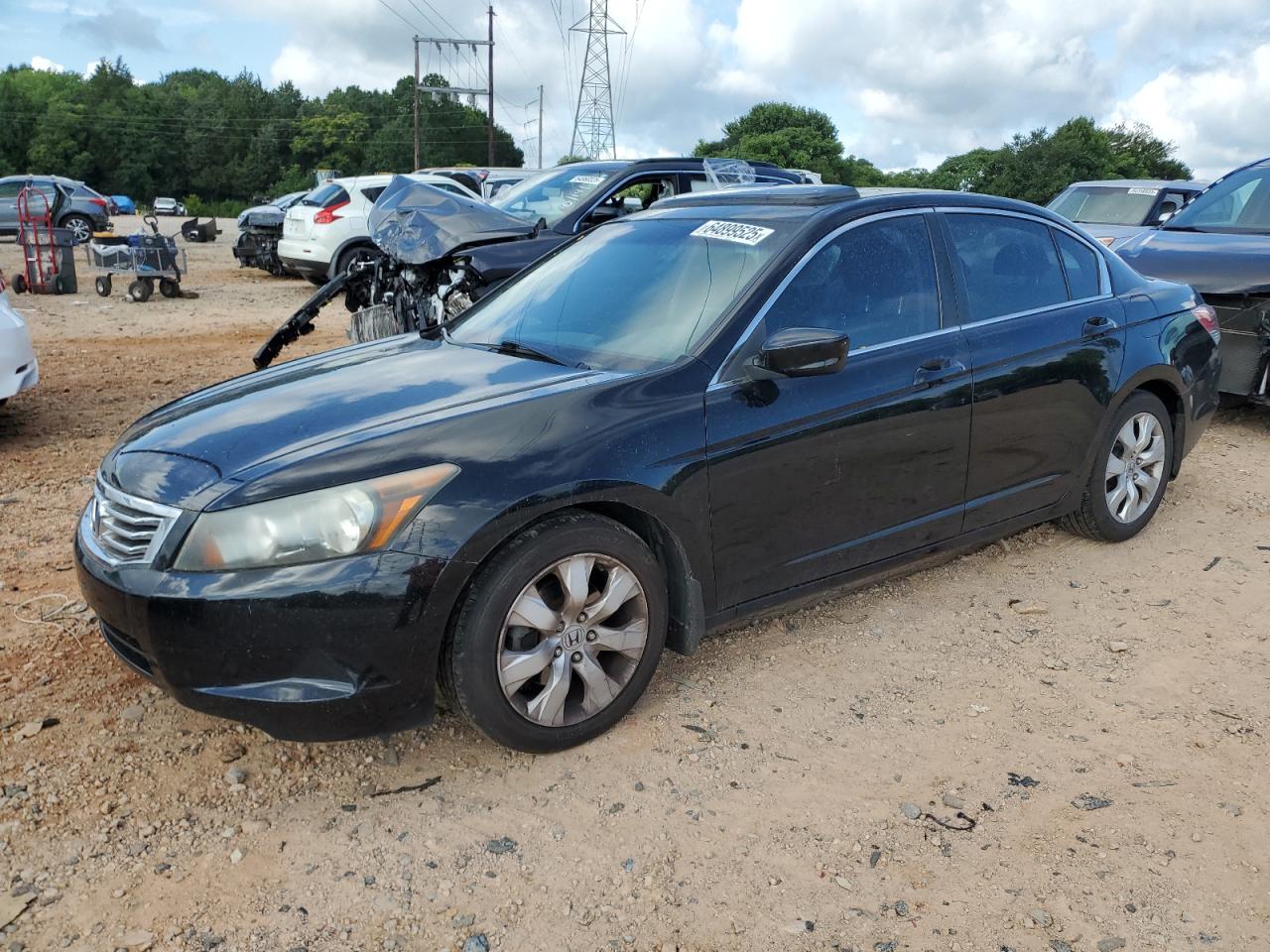 2009 Honda Accord Exl VIN: 1HGCP268X9A133858 Lot: 64899525