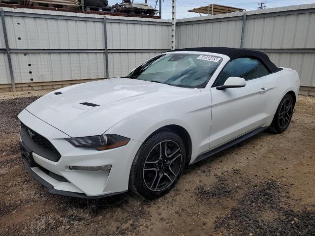 FORD ALL Models – zdjęcie z aukcji, lot #66050465