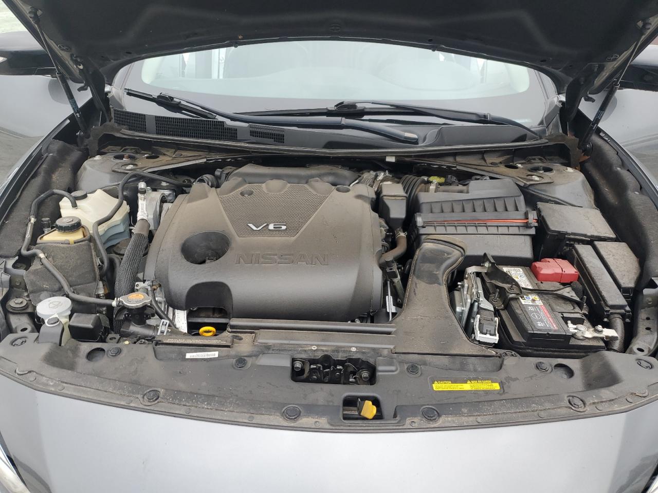 2021 Nissan Maxima Sv VIN: 1N4AA6CV0MC513397 Lot: 64462975