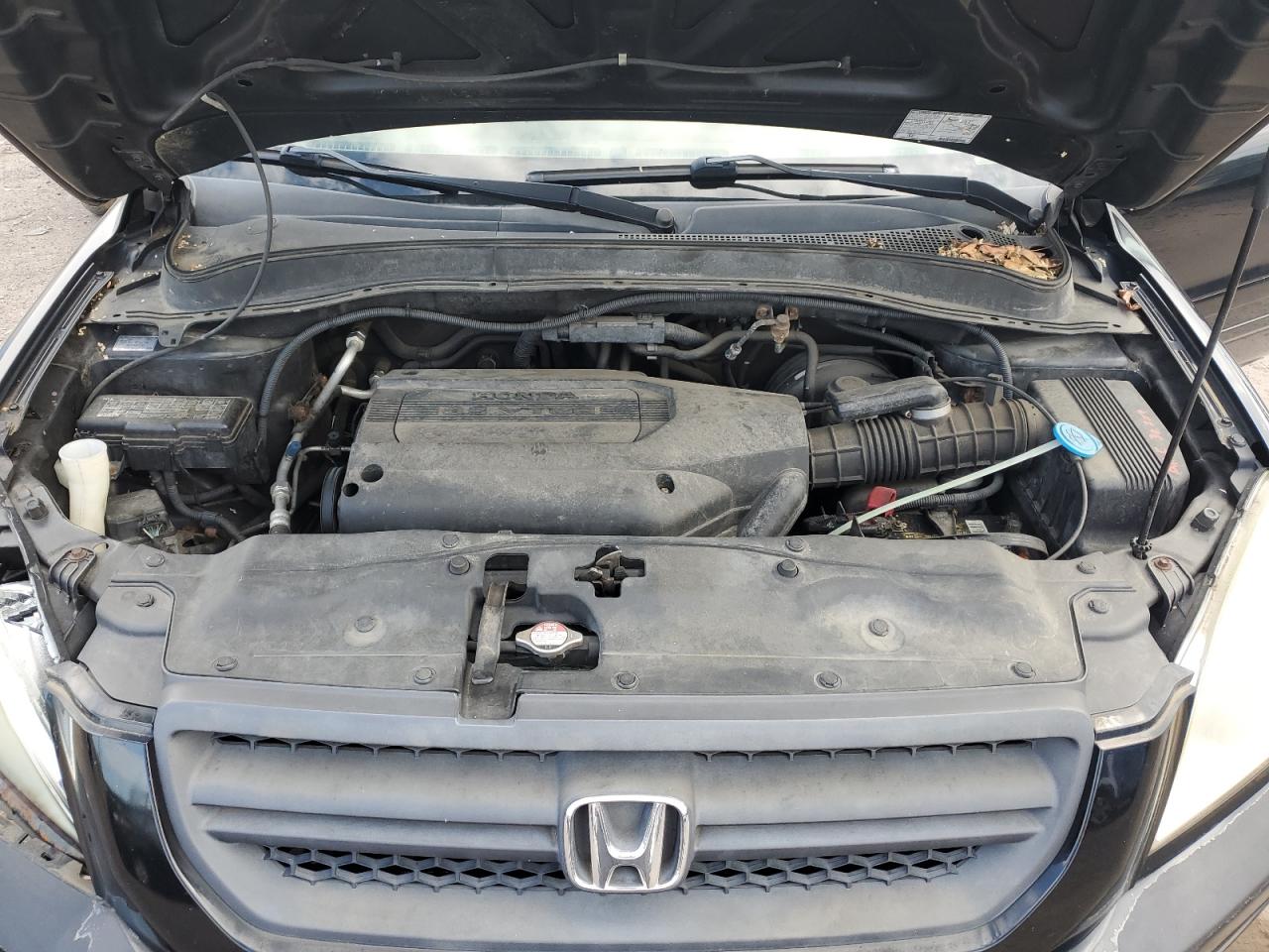 2004 Honda Pilot Exl VIN: 5FNYF18544B007483 Lot: 63630115