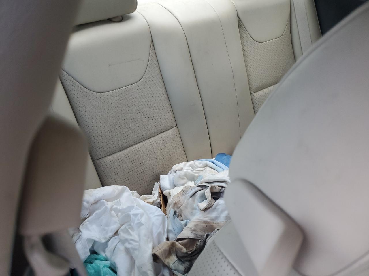 2008 Pontiac G6 Gt VIN: 1G2ZH17N384158137 Lot: 64992025