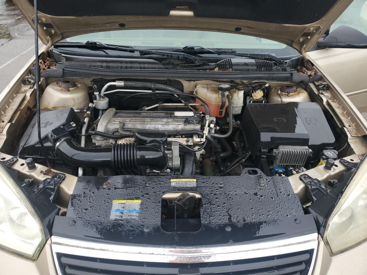 2006 Chevrolet Malibu Ls VIN: 1G1ZS51F96F157204 Lot: 65122245
