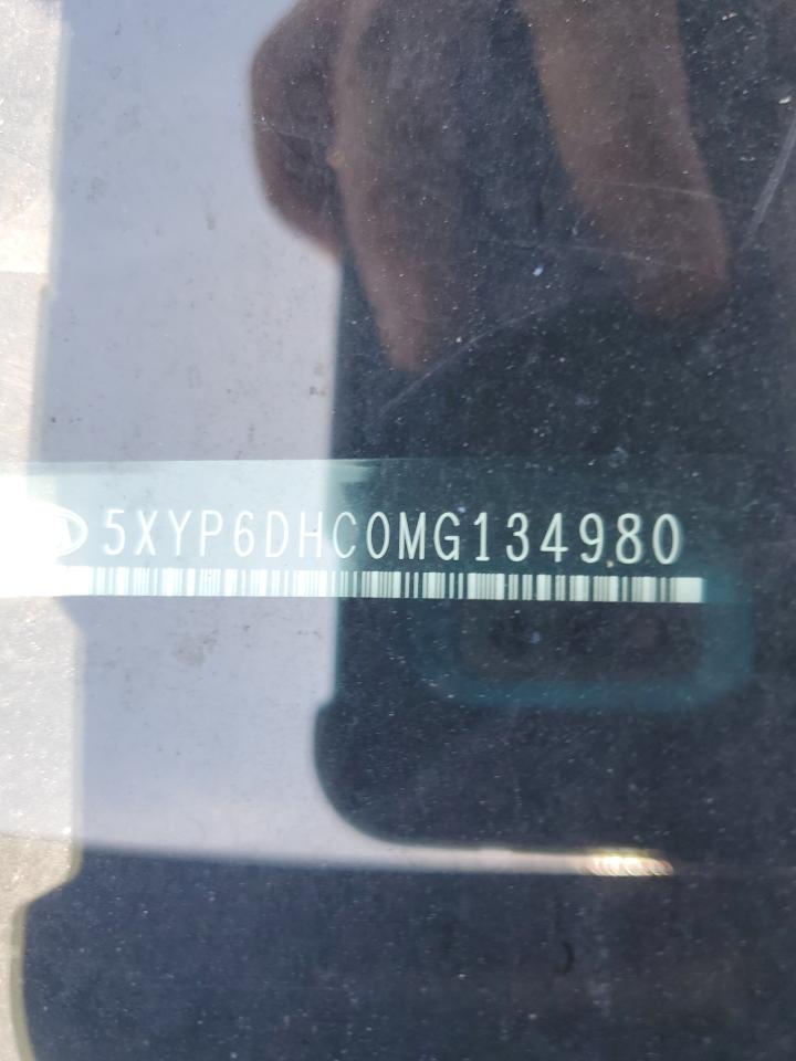 2021 Kia Telluride S VIN: 5XYP6DHC0MG134980 Lot: 63552285