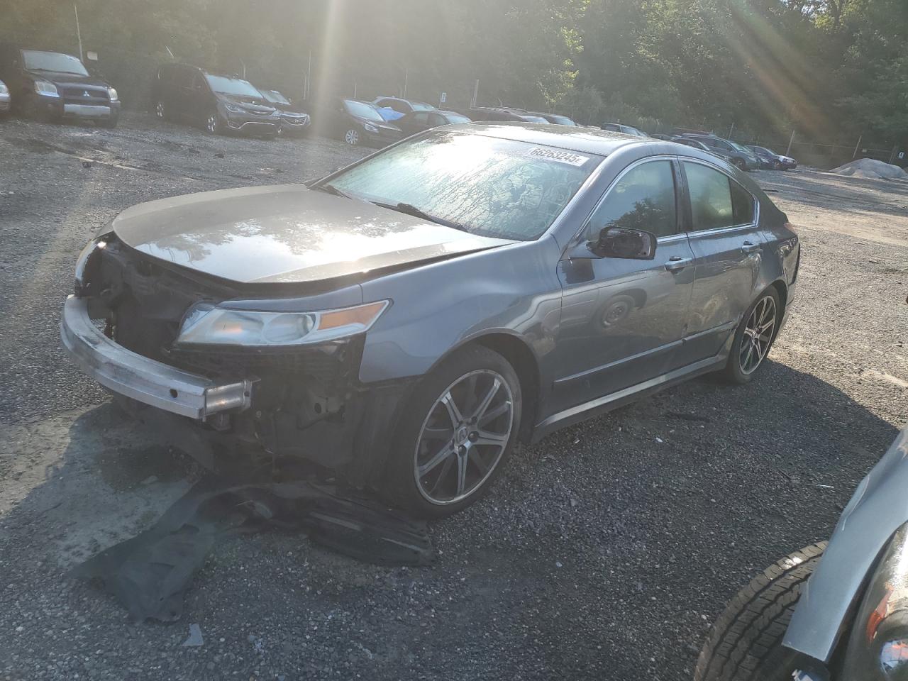 2009 Acura Tl VIN: 19UUA86569A004823 Lot: 66263245