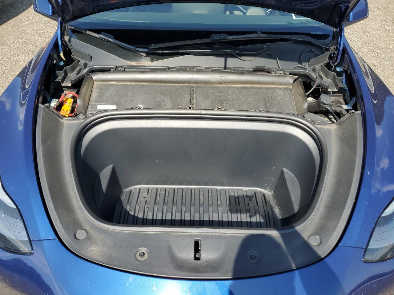 2022 Tesla Model Y VIN: 7SAYGDEF6NF502428 Lot: 65590625