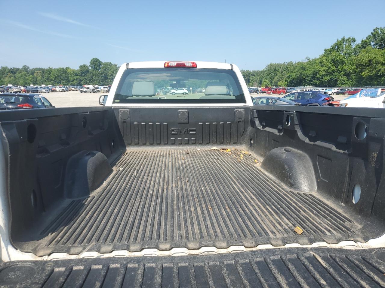 2016 GMC Sierra C1500 VIN: 1GTN1LEH6GZ253803 Lot: 64886785
