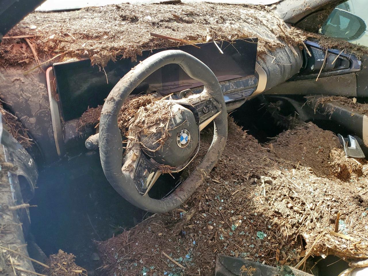 2025 BMW X3 30 xDrive VIN: 5UX53GP0XS9Z59558 Lot: 65023755