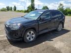 2019 TOYOTA RAV4 XLE   à vendre chez Copart QC - MONTREAL