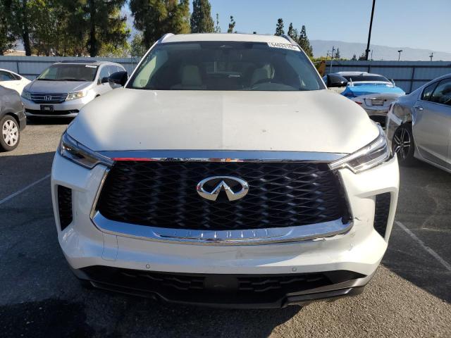  INFINITI QX60 2025 Белы