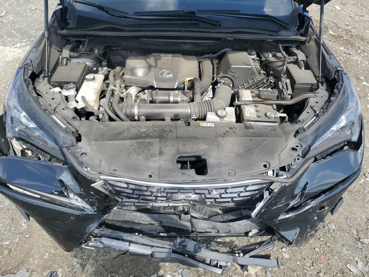2020 Lexus Nx 300 VIN: JTJGARDZ6L5014269 Lot: 64047165