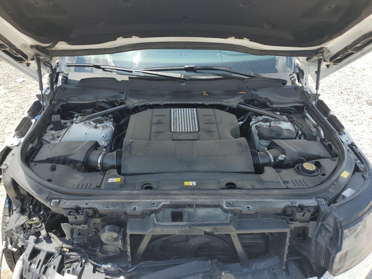 2019 Land Rover Range Rover Supercharged VIN: SALGS5RE3KA560055 Lot: 63066365