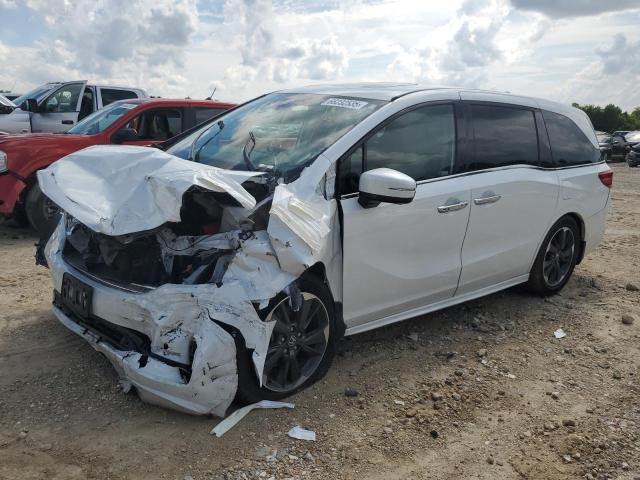  HONDA ODYSSEY 2022 White