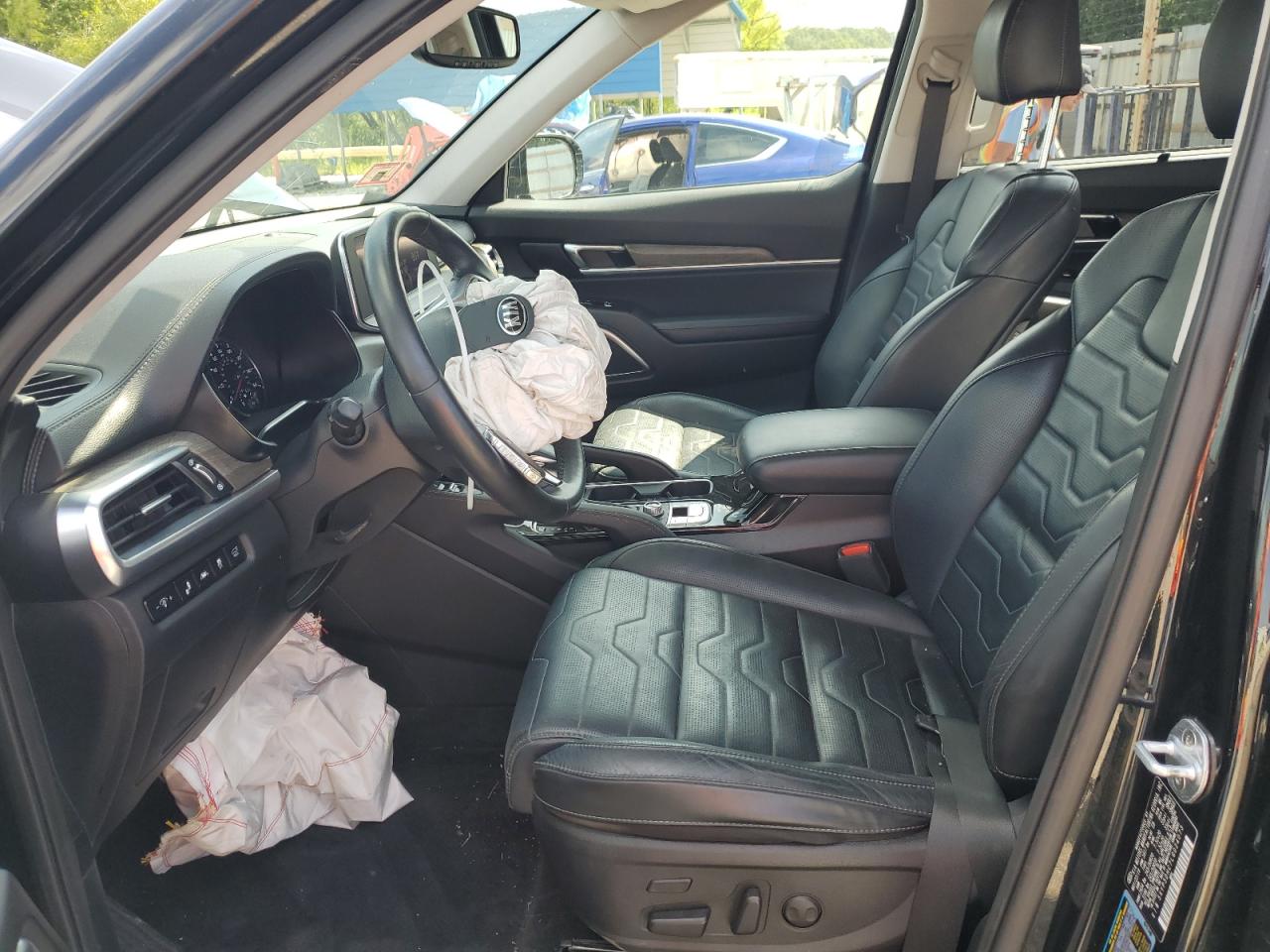 2020 Kia Telluride Sx VIN: 5XYP5DHC7LG024073 Lot: 65090955