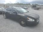 1N4AA5AP1EC****** Salvage and Wrecked 2014 Nissan Maxima in Alabama State