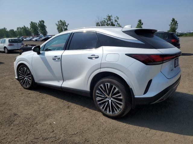 2023 LEXUS RX 350H BASE  