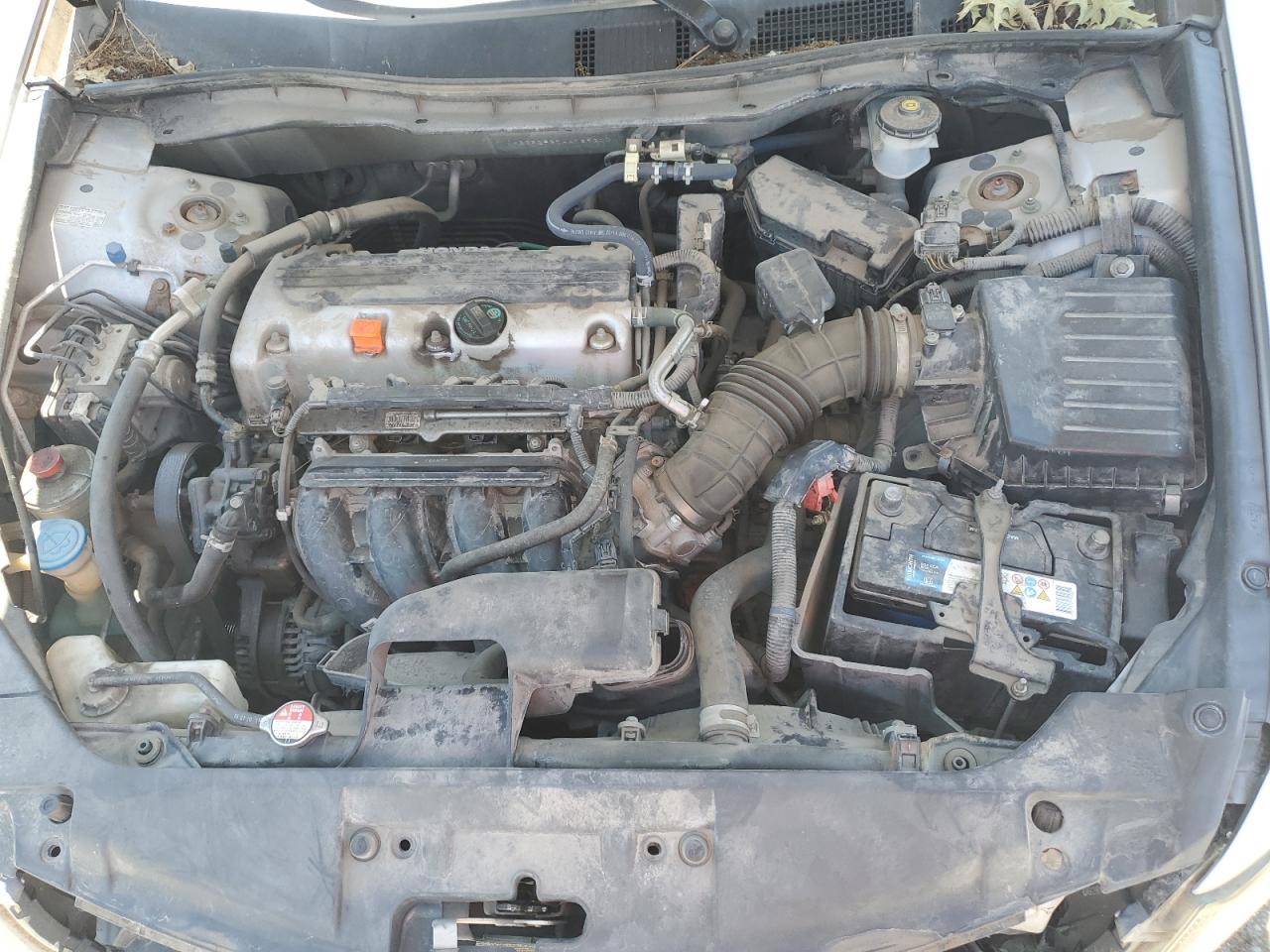 2010 Honda Accord Lx VIN: 1HGCP2F37AA189300 Lot: 64745375