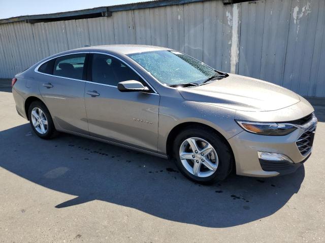  CHEVROLET MALIBU 2024 tan