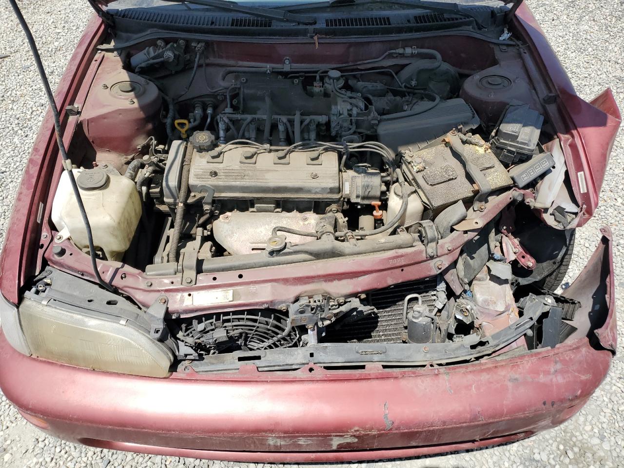 1997 Toyota Corolla Dx VIN: 1NXBB02EXVZ510072 Lot: 65743465