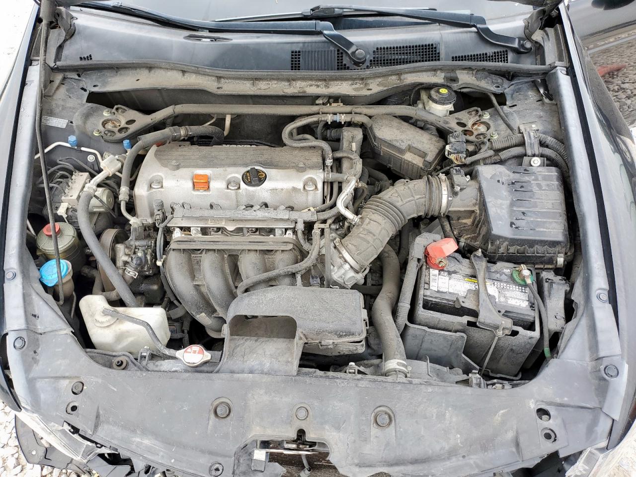 2011 Honda Accord Exl VIN: 1HGCP2F81BA110975 Lot: 65388155